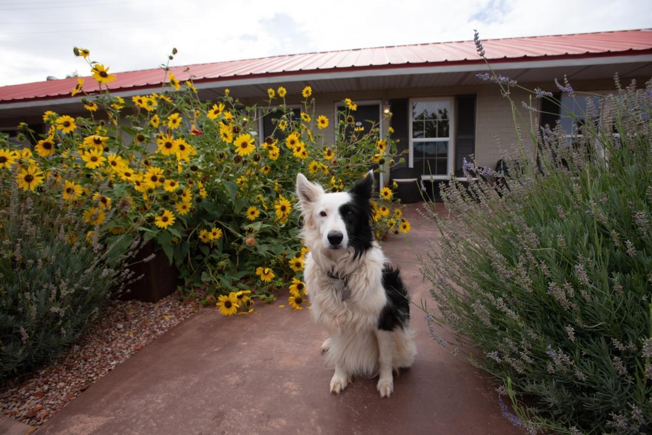 The Flagstone Boutique Inn & Suites Kanab Eksteriør bilde